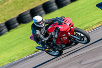 PJ-Motorsport-Photography-2018;anglesey-no-limits-trackday;anglesey-photographs;anglesey-trackday-photographs;enduro-digital-images;event-digital-images;eventdigitalimages;no-limits-trackdays;peter-wileman-photography;racing-digital-images;trac-mon;trackday-digital-images;trackday-photos;ty-croes