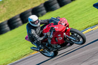 PJ-Motorsport-Photography-2018;anglesey-no-limits-trackday;anglesey-photographs;anglesey-trackday-photographs;enduro-digital-images;event-digital-images;eventdigitalimages;no-limits-trackdays;peter-wileman-photography;racing-digital-images;trac-mon;trackday-digital-images;trackday-photos;ty-croes