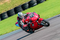 PJ-Motorsport-Photography-2018;anglesey-no-limits-trackday;anglesey-photographs;anglesey-trackday-photographs;enduro-digital-images;event-digital-images;eventdigitalimages;no-limits-trackdays;peter-wileman-photography;racing-digital-images;trac-mon;trackday-digital-images;trackday-photos;ty-croes
