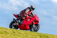 PJ-Motorsport;anglesey-no-limits-trackday;anglesey-photographs;anglesey-trackday-photographs;enduro-digital-images;event-digital-images;eventdigitalimages;no-limits-trackdays;peter-wileman-photography;racing-digital-images;trac-mon;trackday-digital-images;trackday-photos;ty-croes