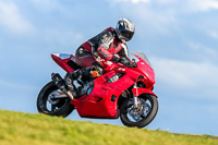 PJ-Motorsport;anglesey-no-limits-trackday;anglesey-photographs;anglesey-trackday-photographs;enduro-digital-images;event-digital-images;eventdigitalimages;no-limits-trackdays;peter-wileman-photography;racing-digital-images;trac-mon;trackday-digital-images;trackday-photos;ty-croes
