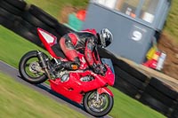 PJ-Motorsport;anglesey-no-limits-trackday;anglesey-photographs;anglesey-trackday-photographs;enduro-digital-images;event-digital-images;eventdigitalimages;no-limits-trackdays;peter-wileman-photography;racing-digital-images;trac-mon;trackday-digital-images;trackday-photos;ty-croes