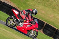 PJ-Motorsport;anglesey-no-limits-trackday;anglesey-photographs;anglesey-trackday-photographs;enduro-digital-images;event-digital-images;eventdigitalimages;no-limits-trackdays;peter-wileman-photography;racing-digital-images;trac-mon;trackday-digital-images;trackday-photos;ty-croes