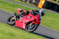 PJ-Motorsport;anglesey-no-limits-trackday;anglesey-photographs;anglesey-trackday-photographs;enduro-digital-images;event-digital-images;eventdigitalimages;no-limits-trackdays;peter-wileman-photography;racing-digital-images;trac-mon;trackday-digital-images;trackday-photos;ty-croes
