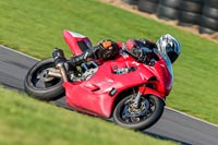 PJ-Motorsport;anglesey-no-limits-trackday;anglesey-photographs;anglesey-trackday-photographs;enduro-digital-images;event-digital-images;eventdigitalimages;no-limits-trackdays;peter-wileman-photography;racing-digital-images;trac-mon;trackday-digital-images;trackday-photos;ty-croes