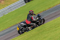 PJ-Motorsport-Photography-2018;anglesey-no-limits-trackday;anglesey-photographs;anglesey-trackday-photographs;enduro-digital-images;event-digital-images;eventdigitalimages;no-limits-trackdays;peter-wileman-photography;racing-digital-images;trac-mon;trackday-digital-images;trackday-photos;ty-croes