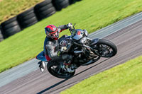 PJ-Motorsport-Photography-2018;anglesey-no-limits-trackday;anglesey-photographs;anglesey-trackday-photographs;enduro-digital-images;event-digital-images;eventdigitalimages;no-limits-trackdays;peter-wileman-photography;racing-digital-images;trac-mon;trackday-digital-images;trackday-photos;ty-croes