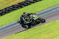 PJ-Motorsport-Photography-2018;anglesey-no-limits-trackday;anglesey-photographs;anglesey-trackday-photographs;enduro-digital-images;event-digital-images;eventdigitalimages;no-limits-trackdays;peter-wileman-photography;racing-digital-images;trac-mon;trackday-digital-images;trackday-photos;ty-croes