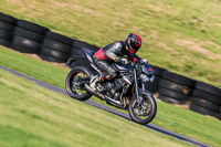 PJ-Motorsport;anglesey-no-limits-trackday;anglesey-photographs;anglesey-trackday-photographs;enduro-digital-images;event-digital-images;eventdigitalimages;no-limits-trackdays;peter-wileman-photography;racing-digital-images;trac-mon;trackday-digital-images;trackday-photos;ty-croes