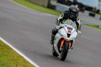 PJ-Motorsport-Photography-2018;anglesey-no-limits-trackday;anglesey-photographs;anglesey-trackday-photographs;enduro-digital-images;event-digital-images;eventdigitalimages;no-limits-trackdays;peter-wileman-photography;racing-digital-images;trac-mon;trackday-digital-images;trackday-photos;ty-croes