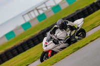 PJ-Motorsport-Photography-2018;anglesey-no-limits-trackday;anglesey-photographs;anglesey-trackday-photographs;enduro-digital-images;event-digital-images;eventdigitalimages;no-limits-trackdays;peter-wileman-photography;racing-digital-images;trac-mon;trackday-digital-images;trackday-photos;ty-croes