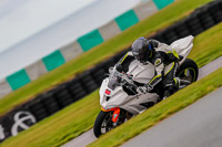 PJ-Motorsport-Photography-2018;anglesey-no-limits-trackday;anglesey-photographs;anglesey-trackday-photographs;enduro-digital-images;event-digital-images;eventdigitalimages;no-limits-trackdays;peter-wileman-photography;racing-digital-images;trac-mon;trackday-digital-images;trackday-photos;ty-croes