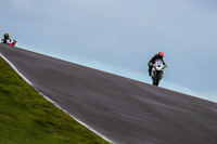 PJ-Motorsport-Photography-2018;anglesey-no-limits-trackday;anglesey-photographs;anglesey-trackday-photographs;enduro-digital-images;event-digital-images;eventdigitalimages;no-limits-trackdays;peter-wileman-photography;racing-digital-images;trac-mon;trackday-digital-images;trackday-photos;ty-croes