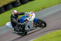 PJ-Motorsport-Photography-2018;anglesey-no-limits-trackday;anglesey-photographs;anglesey-trackday-photographs;enduro-digital-images;event-digital-images;eventdigitalimages;no-limits-trackdays;peter-wileman-photography;racing-digital-images;trac-mon;trackday-digital-images;trackday-photos;ty-croes