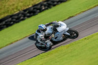 PJ-Motorsport-Photography-2018;anglesey-no-limits-trackday;anglesey-photographs;anglesey-trackday-photographs;enduro-digital-images;event-digital-images;eventdigitalimages;no-limits-trackdays;peter-wileman-photography;racing-digital-images;trac-mon;trackday-digital-images;trackday-photos;ty-croes