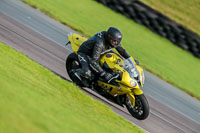 PJ-Motorsport-Photography-2018;anglesey-no-limits-trackday;anglesey-photographs;anglesey-trackday-photographs;enduro-digital-images;event-digital-images;eventdigitalimages;no-limits-trackdays;peter-wileman-photography;racing-digital-images;trac-mon;trackday-digital-images;trackday-photos;ty-croes