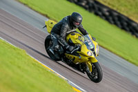 PJ-Motorsport-Photography-2018;anglesey-no-limits-trackday;anglesey-photographs;anglesey-trackday-photographs;enduro-digital-images;event-digital-images;eventdigitalimages;no-limits-trackdays;peter-wileman-photography;racing-digital-images;trac-mon;trackday-digital-images;trackday-photos;ty-croes