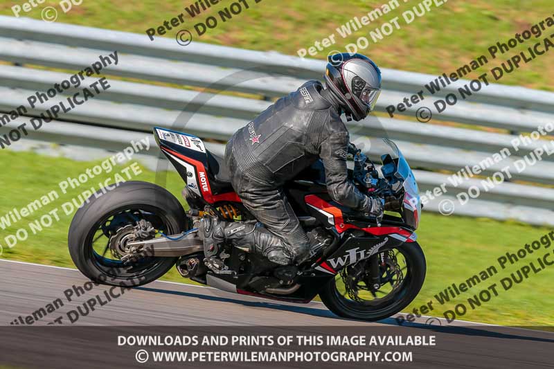 PJ Motorsport;anglesey no limits trackday;anglesey photographs;anglesey trackday photographs;enduro digital images;event digital images;eventdigitalimages;no limits trackdays;peter wileman photography;racing digital images;trac mon;trackday digital images;trackday photos;ty croes