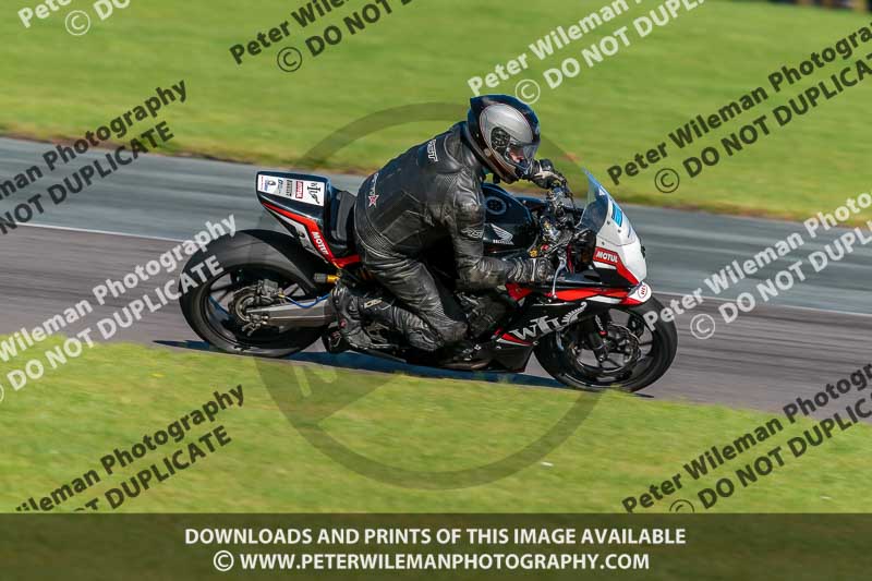 PJ Motorsport;anglesey no limits trackday;anglesey photographs;anglesey trackday photographs;enduro digital images;event digital images;eventdigitalimages;no limits trackdays;peter wileman photography;racing digital images;trac mon;trackday digital images;trackday photos;ty croes