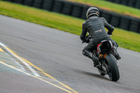 PJ-Motorsport;anglesey-no-limits-trackday;anglesey-photographs;anglesey-trackday-photographs;enduro-digital-images;event-digital-images;eventdigitalimages;no-limits-trackdays;peter-wileman-photography;racing-digital-images;trac-mon;trackday-digital-images;trackday-photos;ty-croes