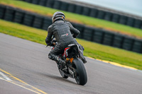 PJ-Motorsport;anglesey-no-limits-trackday;anglesey-photographs;anglesey-trackday-photographs;enduro-digital-images;event-digital-images;eventdigitalimages;no-limits-trackdays;peter-wileman-photography;racing-digital-images;trac-mon;trackday-digital-images;trackday-photos;ty-croes