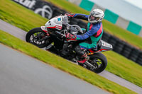 PJ-Motorsport;anglesey-no-limits-trackday;anglesey-photographs;anglesey-trackday-photographs;enduro-digital-images;event-digital-images;eventdigitalimages;no-limits-trackdays;peter-wileman-photography;racing-digital-images;trac-mon;trackday-digital-images;trackday-photos;ty-croes