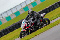 PJ-Motorsport;anglesey-no-limits-trackday;anglesey-photographs;anglesey-trackday-photographs;enduro-digital-images;event-digital-images;eventdigitalimages;no-limits-trackdays;peter-wileman-photography;racing-digital-images;trac-mon;trackday-digital-images;trackday-photos;ty-croes