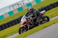 PJ-Motorsport;anglesey-no-limits-trackday;anglesey-photographs;anglesey-trackday-photographs;enduro-digital-images;event-digital-images;eventdigitalimages;no-limits-trackdays;peter-wileman-photography;racing-digital-images;trac-mon;trackday-digital-images;trackday-photos;ty-croes