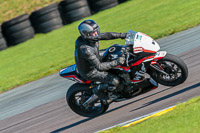 PJ-Motorsport;anglesey-no-limits-trackday;anglesey-photographs;anglesey-trackday-photographs;enduro-digital-images;event-digital-images;eventdigitalimages;no-limits-trackdays;peter-wileman-photography;racing-digital-images;trac-mon;trackday-digital-images;trackday-photos;ty-croes