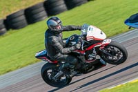 PJ-Motorsport;anglesey-no-limits-trackday;anglesey-photographs;anglesey-trackday-photographs;enduro-digital-images;event-digital-images;eventdigitalimages;no-limits-trackdays;peter-wileman-photography;racing-digital-images;trac-mon;trackday-digital-images;trackday-photos;ty-croes