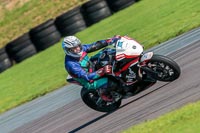 PJ-Motorsport;anglesey-no-limits-trackday;anglesey-photographs;anglesey-trackday-photographs;enduro-digital-images;event-digital-images;eventdigitalimages;no-limits-trackdays;peter-wileman-photography;racing-digital-images;trac-mon;trackday-digital-images;trackday-photos;ty-croes