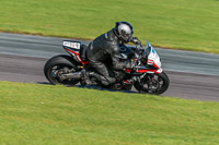 PJ-Motorsport;anglesey-no-limits-trackday;anglesey-photographs;anglesey-trackday-photographs;enduro-digital-images;event-digital-images;eventdigitalimages;no-limits-trackdays;peter-wileman-photography;racing-digital-images;trac-mon;trackday-digital-images;trackday-photos;ty-croes