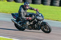 PJ-Motorsport;anglesey-no-limits-trackday;anglesey-photographs;anglesey-trackday-photographs;enduro-digital-images;event-digital-images;eventdigitalimages;no-limits-trackdays;peter-wileman-photography;racing-digital-images;trac-mon;trackday-digital-images;trackday-photos;ty-croes