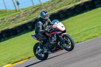 PJ-Motorsport;anglesey-no-limits-trackday;anglesey-photographs;anglesey-trackday-photographs;enduro-digital-images;event-digital-images;eventdigitalimages;no-limits-trackdays;peter-wileman-photography;racing-digital-images;trac-mon;trackday-digital-images;trackday-photos;ty-croes