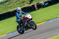 PJ-Motorsport;anglesey-no-limits-trackday;anglesey-photographs;anglesey-trackday-photographs;enduro-digital-images;event-digital-images;eventdigitalimages;no-limits-trackdays;peter-wileman-photography;racing-digital-images;trac-mon;trackday-digital-images;trackday-photos;ty-croes