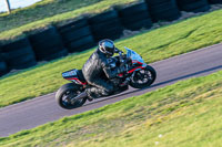 PJ-Motorsport-Photography-2018;anglesey-no-limits-trackday;anglesey-photographs;anglesey-trackday-photographs;enduro-digital-images;event-digital-images;eventdigitalimages;no-limits-trackdays;peter-wileman-photography;racing-digital-images;trac-mon;trackday-digital-images;trackday-photos;ty-croes
