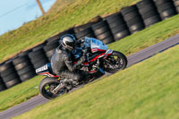 PJ-Motorsport-Photography-2018;anglesey-no-limits-trackday;anglesey-photographs;anglesey-trackday-photographs;enduro-digital-images;event-digital-images;eventdigitalimages;no-limits-trackdays;peter-wileman-photography;racing-digital-images;trac-mon;trackday-digital-images;trackday-photos;ty-croes