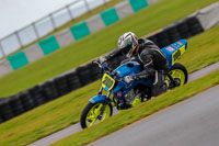 PJ-Motorsport;anglesey-no-limits-trackday;anglesey-photographs;anglesey-trackday-photographs;enduro-digital-images;event-digital-images;eventdigitalimages;no-limits-trackdays;peter-wileman-photography;racing-digital-images;trac-mon;trackday-digital-images;trackday-photos;ty-croes