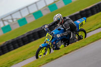 PJ-Motorsport;anglesey-no-limits-trackday;anglesey-photographs;anglesey-trackday-photographs;enduro-digital-images;event-digital-images;eventdigitalimages;no-limits-trackdays;peter-wileman-photography;racing-digital-images;trac-mon;trackday-digital-images;trackday-photos;ty-croes