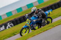 PJ-Motorsport;anglesey-no-limits-trackday;anglesey-photographs;anglesey-trackday-photographs;enduro-digital-images;event-digital-images;eventdigitalimages;no-limits-trackdays;peter-wileman-photography;racing-digital-images;trac-mon;trackday-digital-images;trackday-photos;ty-croes