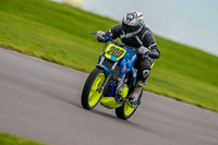 PJ-Motorsport;anglesey-no-limits-trackday;anglesey-photographs;anglesey-trackday-photographs;enduro-digital-images;event-digital-images;eventdigitalimages;no-limits-trackdays;peter-wileman-photography;racing-digital-images;trac-mon;trackday-digital-images;trackday-photos;ty-croes