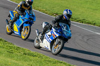 PJ-Motorsport-Photography-2018;anglesey-no-limits-trackday;anglesey-photographs;anglesey-trackday-photographs;enduro-digital-images;event-digital-images;eventdigitalimages;no-limits-trackdays;peter-wileman-photography;racing-digital-images;trac-mon;trackday-digital-images;trackday-photos;ty-croes