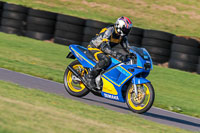 Lower Group Blue Bikes