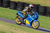 PJ-Motorsport-Photography-2018;anglesey-no-limits-trackday;anglesey-photographs;anglesey-trackday-photographs;enduro-digital-images;event-digital-images;eventdigitalimages;no-limits-trackdays;peter-wileman-photography;racing-digital-images;trac-mon;trackday-digital-images;trackday-photos;ty-croes