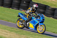 PJ-Motorsport-Photography-2018;anglesey-no-limits-trackday;anglesey-photographs;anglesey-trackday-photographs;enduro-digital-images;event-digital-images;eventdigitalimages;no-limits-trackdays;peter-wileman-photography;racing-digital-images;trac-mon;trackday-digital-images;trackday-photos;ty-croes