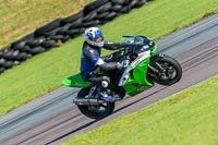 PJ-Motorsport;anglesey-no-limits-trackday;anglesey-photographs;anglesey-trackday-photographs;enduro-digital-images;event-digital-images;eventdigitalimages;no-limits-trackdays;peter-wileman-photography;racing-digital-images;trac-mon;trackday-digital-images;trackday-photos;ty-croes