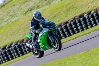 PJ-Motorsport;anglesey-no-limits-trackday;anglesey-photographs;anglesey-trackday-photographs;enduro-digital-images;event-digital-images;eventdigitalimages;no-limits-trackdays;peter-wileman-photography;racing-digital-images;trac-mon;trackday-digital-images;trackday-photos;ty-croes