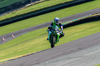 PJ-Motorsport-Photography-2018;anglesey-no-limits-trackday;anglesey-photographs;anglesey-trackday-photographs;enduro-digital-images;event-digital-images;eventdigitalimages;no-limits-trackdays;peter-wileman-photography;racing-digital-images;trac-mon;trackday-digital-images;trackday-photos;ty-croes