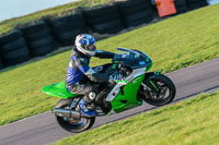 PJ-Motorsport-Photography-2018;anglesey-no-limits-trackday;anglesey-photographs;anglesey-trackday-photographs;enduro-digital-images;event-digital-images;eventdigitalimages;no-limits-trackdays;peter-wileman-photography;racing-digital-images;trac-mon;trackday-digital-images;trackday-photos;ty-croes