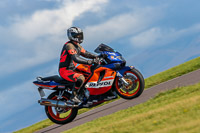 PJ-Motorsport-Photography-2018;anglesey-no-limits-trackday;anglesey-photographs;anglesey-trackday-photographs;enduro-digital-images;event-digital-images;eventdigitalimages;no-limits-trackdays;peter-wileman-photography;racing-digital-images;trac-mon;trackday-digital-images;trackday-photos;ty-croes